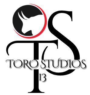 Toro Shop 13